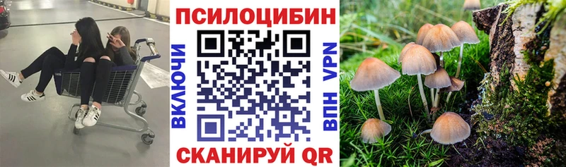 где можно купить наркотик  Клинцы  MEGA ССЫЛКА  Псилоцибиновые грибы MAGIC MUSHROOMS 