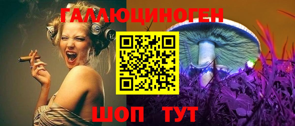 Псилоцибиновые грибы Psilocybine cubensis Клинцы