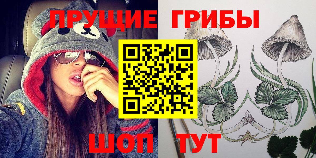 Клинцы  хочу наркоту  Вход с VPN  Галлюциногенные грибы Magic Shrooms  Псилоцибиновые грибы ЛСД 